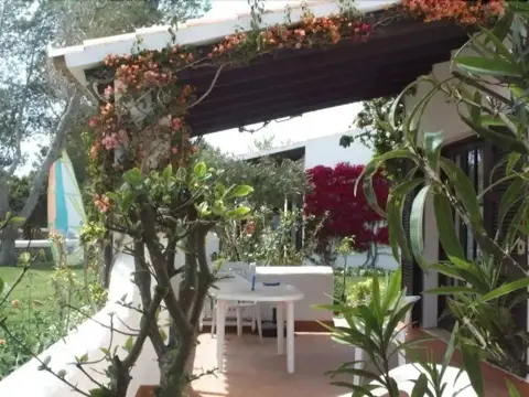 Windrose - фото 1