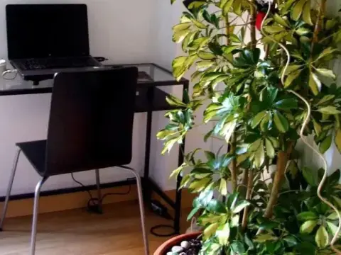 XY Travellers Guest House - фото 2
