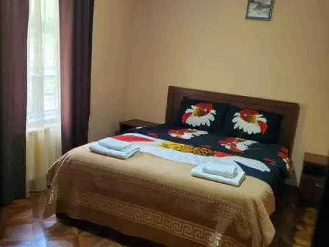 Dioscuria Borjomi Guest House - Photo 3