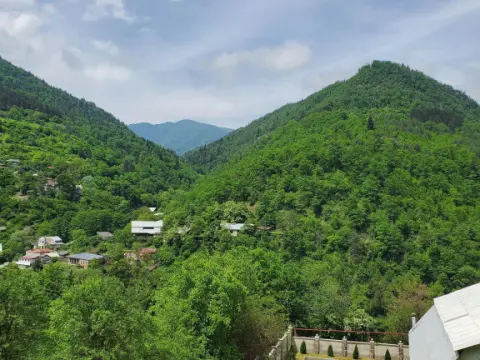 Dioscuria Borjomi Guest House - Photo 4