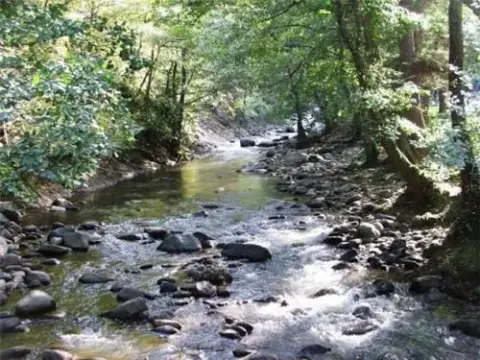 Guest House Nika - Photo 2