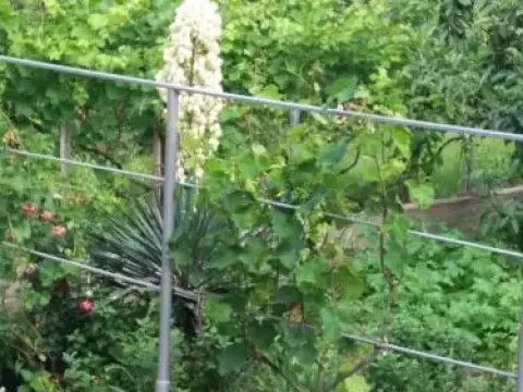 Guest House on Gorgasali Street - Foto 2