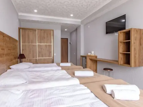 Hilltop Bakuriani - фото 3