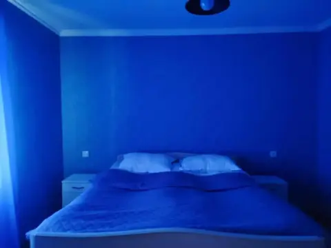 Lia&Ramaz Guest House - Photo 1