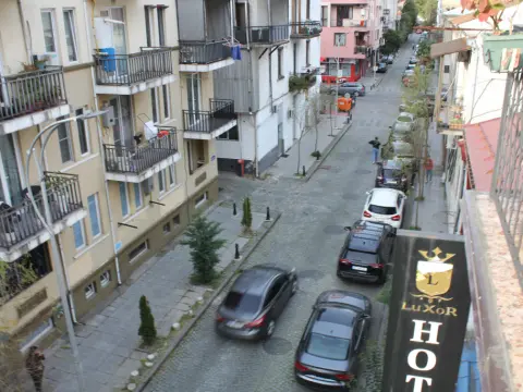 Luxor Garden - Photo 3