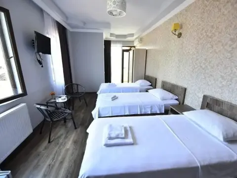 Hotel Paliashvili - Photo 3