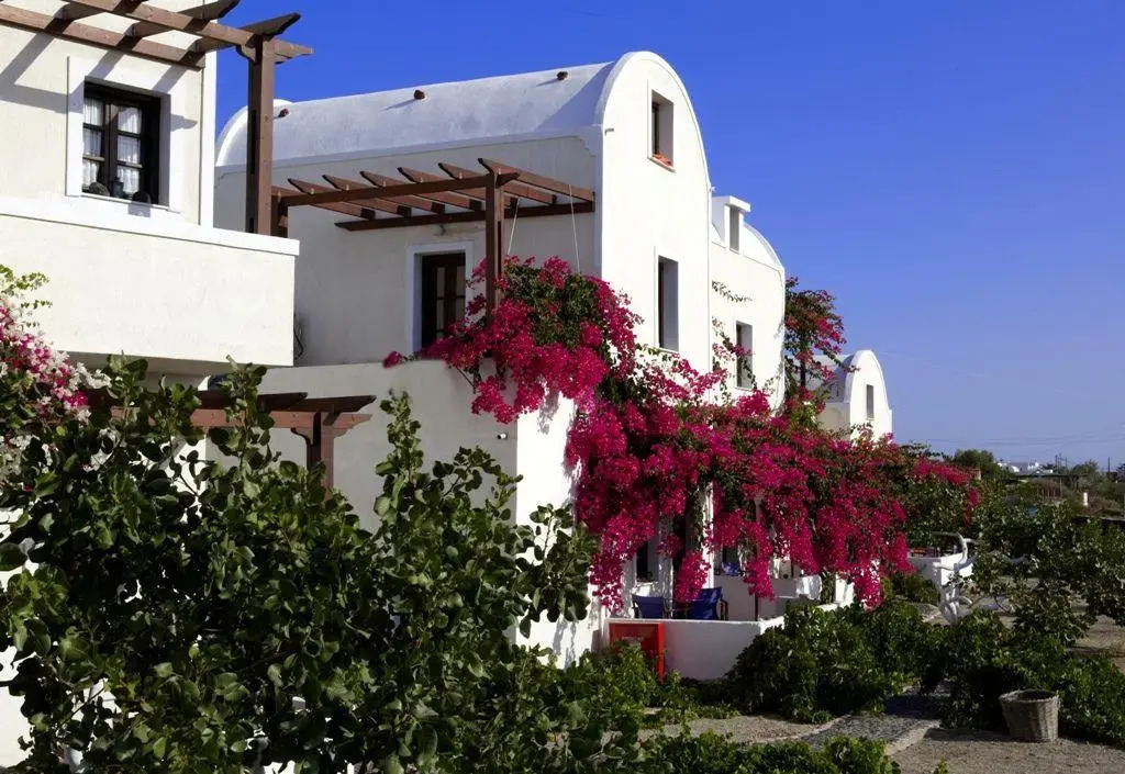Anna Traditional Apartments - Photo 1