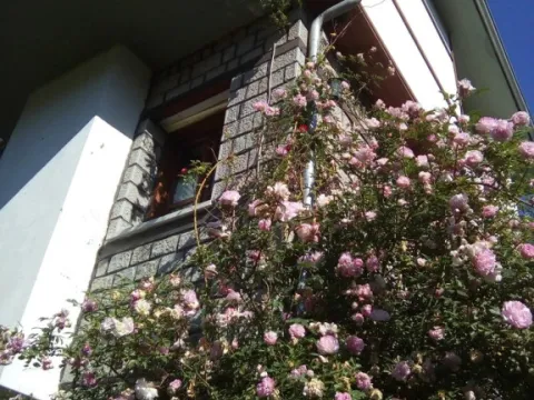 Archontiko Irene - Photo 1