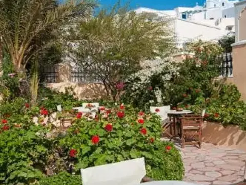 Hotel Zorbas Santorini - Photo 2