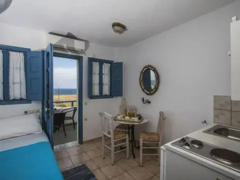 Ecoxenia Studios - Photo 4