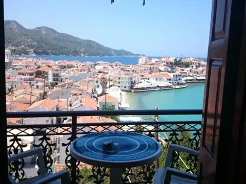 Kamelia - Foto 4