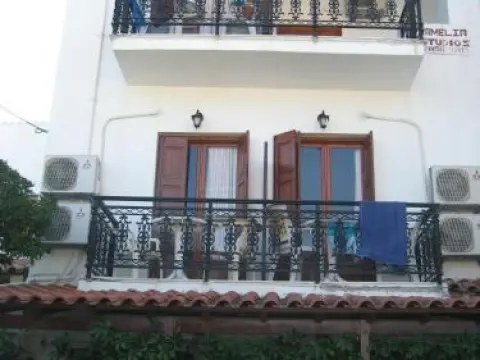 Kamelia - Foto 1