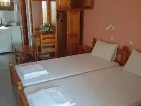 Kamelia - Foto 3