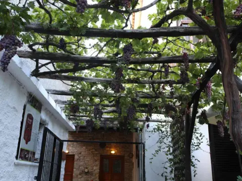 Mirto Apartments - Photo 1