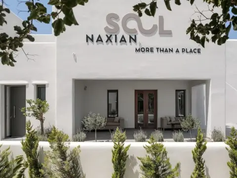 Naxian Soul - Photo 1