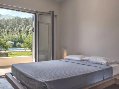 Orange Grove Villas - Photo 2