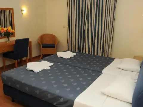 Pantheon Hotel Athens Airport - Photo 3