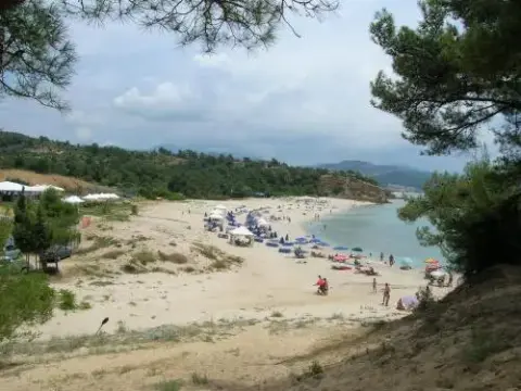 Pantheon Studios Apartments - Photo 4