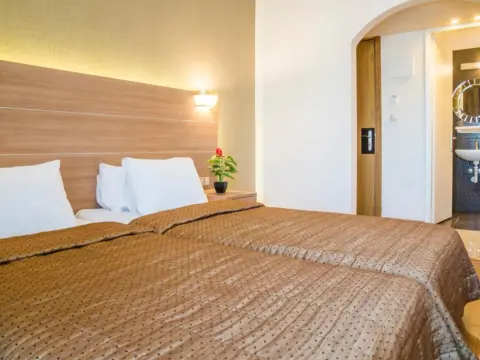 Park Hotel - Photo 3