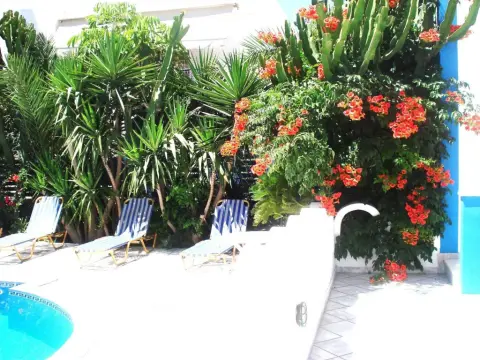 Pension George - Photo 3