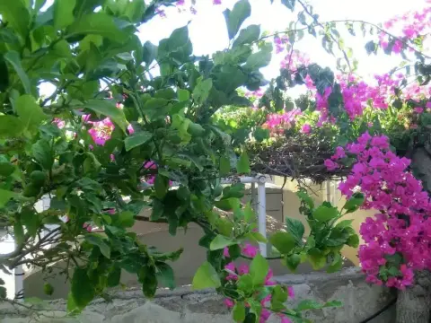 Santorini Youth Hostel - Foto 2