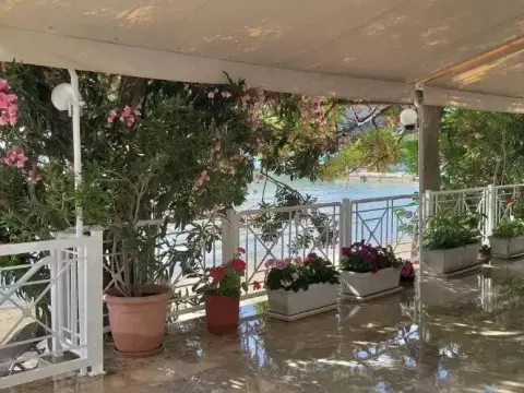 Sofia Hotel - Foto 1