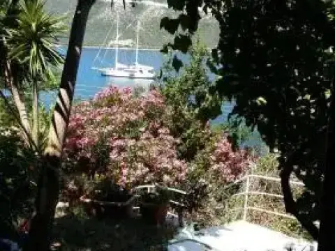 Villa Delfini - Photo 4