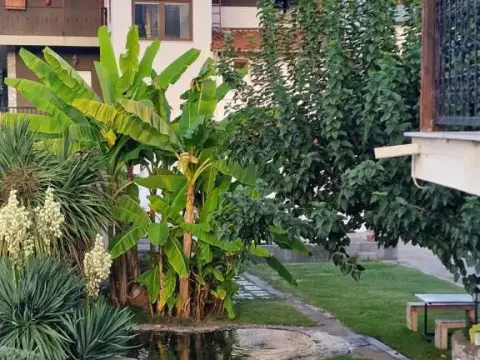 Villa Dimitris-Family Pansion - Photo 2