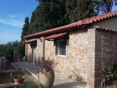 Villa Georgina - Photo 1