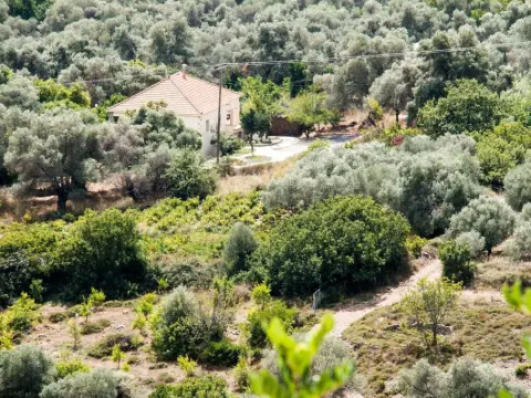 Villa Vlatos - Foto 4