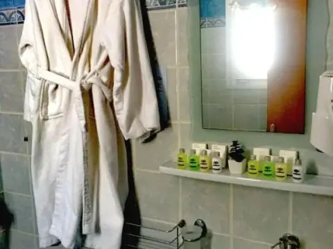 Virginia Hotel - Photo 4