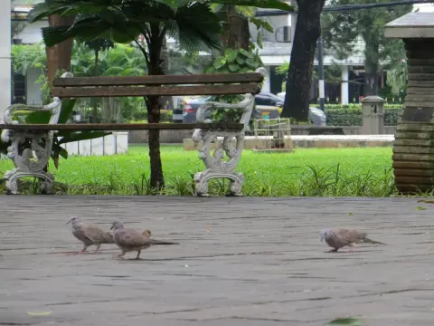 555 Guesthouse - Photo 2