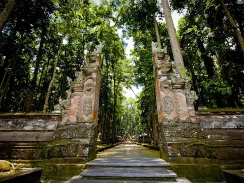 Ajun Villa Private Pool Ubud - Photo 3