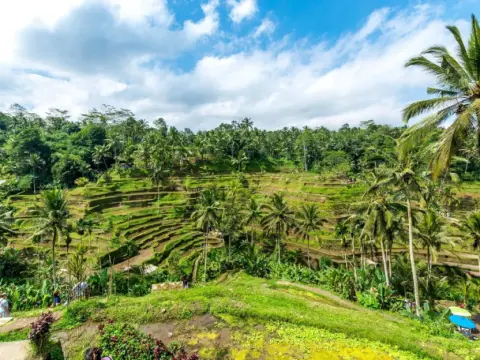 Ajun Villa Private Pool Ubud - Photo 4