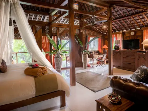 Alassari Plantation - Photo 4