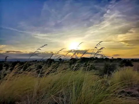 Alba Tulamben - Photo 2