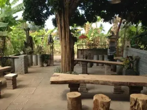 Apollo hostel - Photo 3