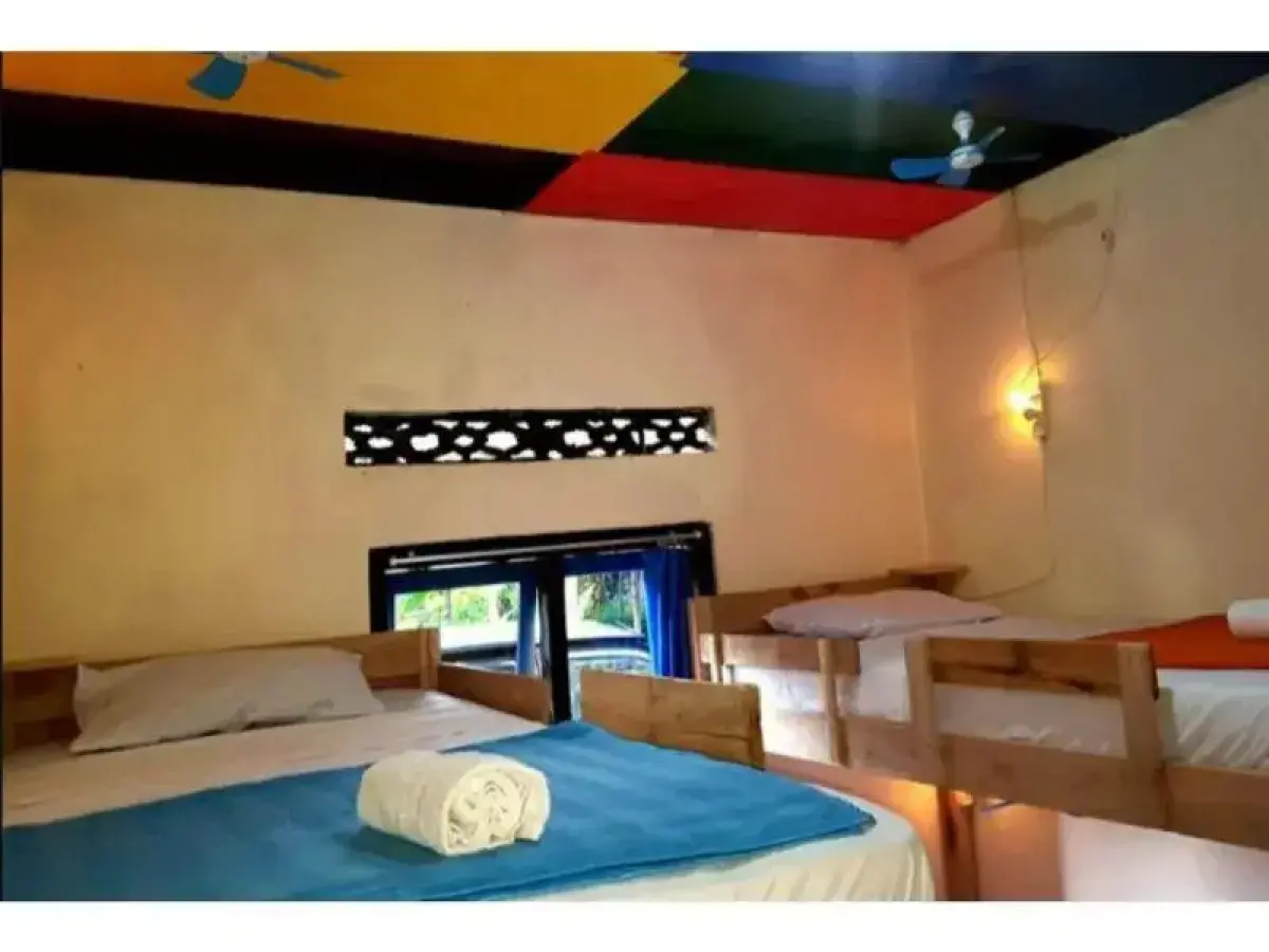 Dodo Dormitory Backpacker