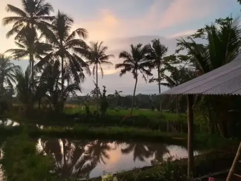 EXPRESS O 91901 Homestay Irish Irish - Photo 4