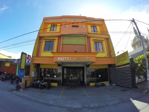Hotel Ashofa - фото 1