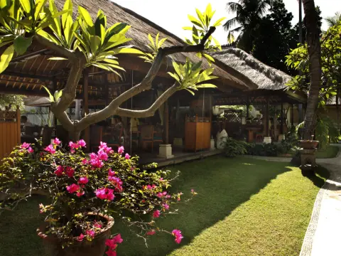 Puri Bagus Lovina Hotel - Photo 3