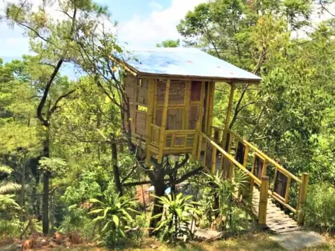 IEFA Resort Malino - Photo 3