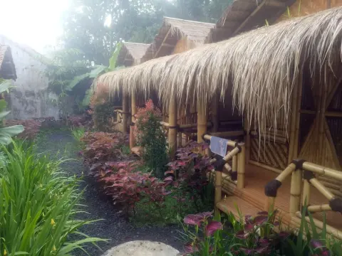 Javana Homestay - фото 4