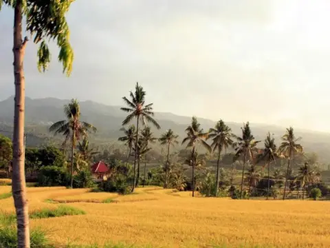 Lafyu Bali - Photo 2