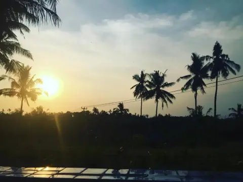 Lafyu Bali - Photo 4