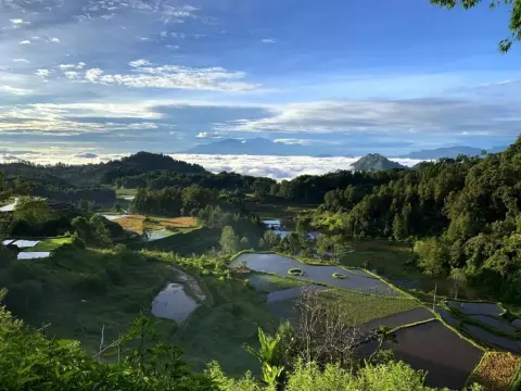 LANDE Tiny - фото 2