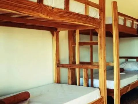 Lay Day Surf Hostel - Photo 4
