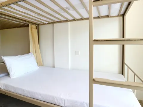 Margarita Surf Hostel Canggu - Foto 4