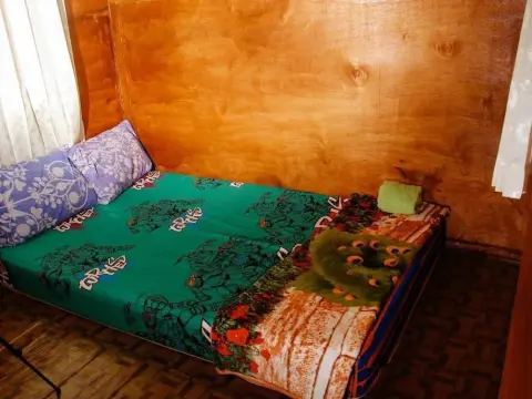 Nyuh Bengkok Tree House - Photo 2