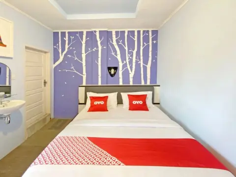 OYO 1753 Hotel Ananda - Photo 2